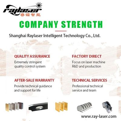 Raytools Laser Head Yaskawa Servo Motor Metal Laser Cutting Machine for Your Business
